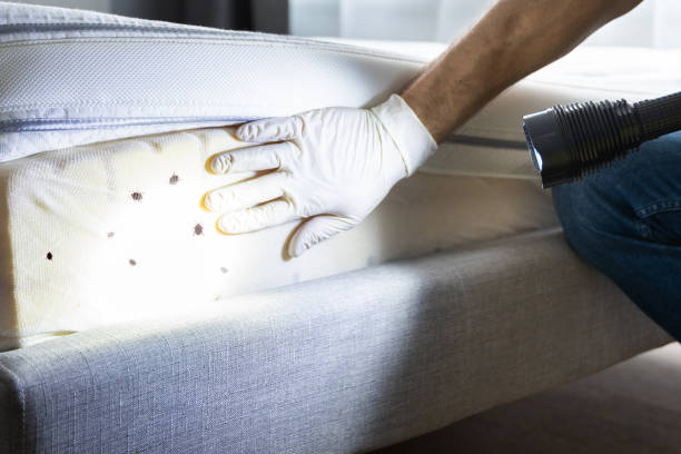 Best Wildlife Control Services  in Pottsgrove, PA