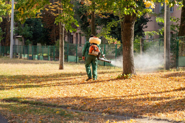 Best Pest Control Near Me  in Pottsgrove, PA