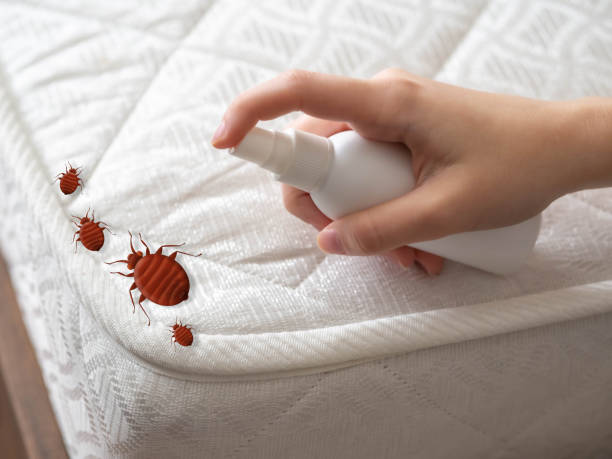 Best Pest Removal Services  in Pottsgrove, PA