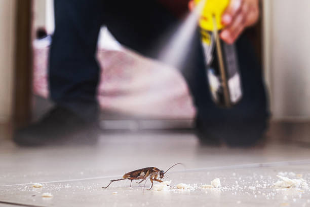 Best Local Pest Control Services  in Pottsgrove, PA