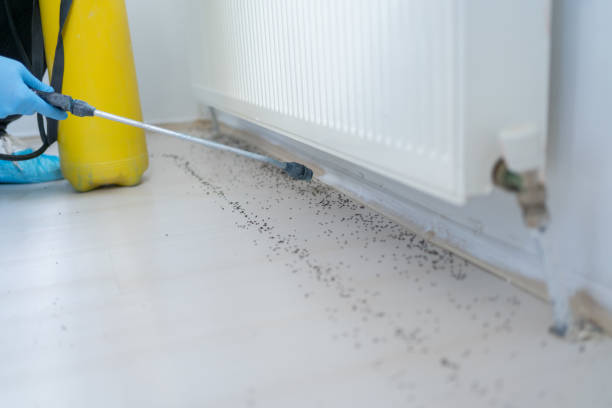 Best Pest Control Near Me in Pottsgrove, PA