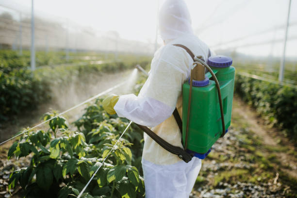 Reliable Pottsgrove, PA Pest Control Solutions